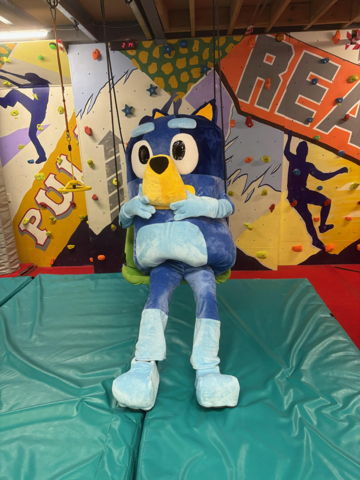 Blue Pup birthday party experience at Quayside