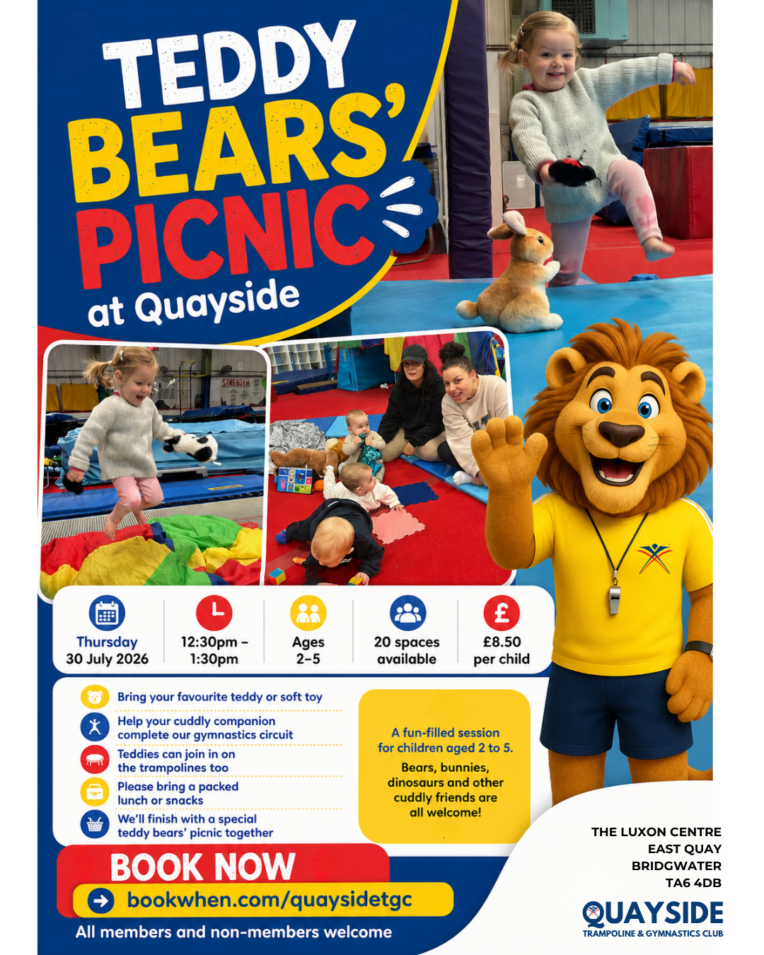Teddy Bears Picnic poster